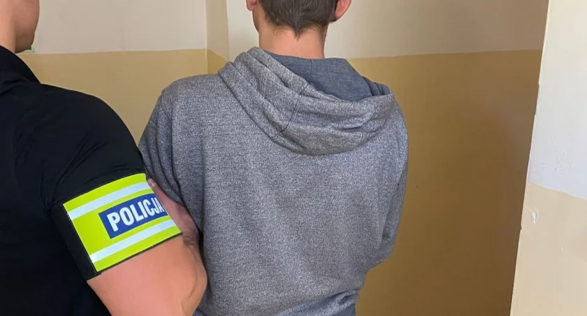 Kradzieże samochodów. Podejrzany został zatrzymany
