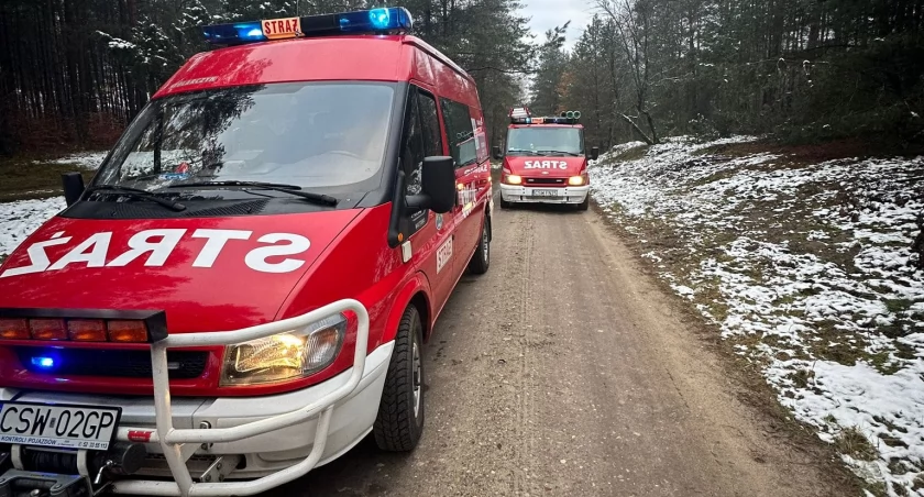 Poszukiwania starszej osoby. W akcji straż i policja