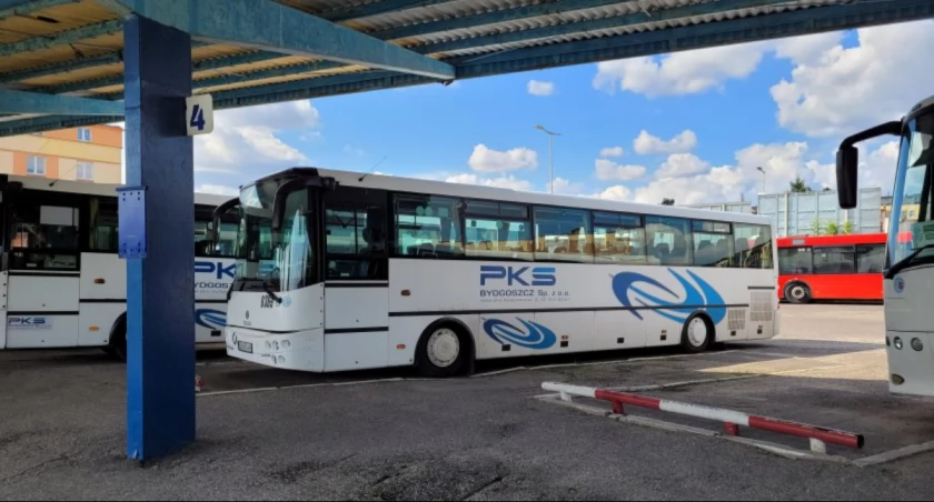 Autobus Świecie-Dragacz. Kurs zostanie wydłużony do Grudziądza