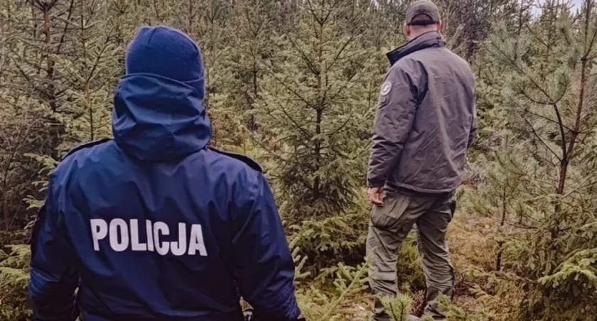 Drzewka pod kontrolą służb. Policjanci ostrzegają