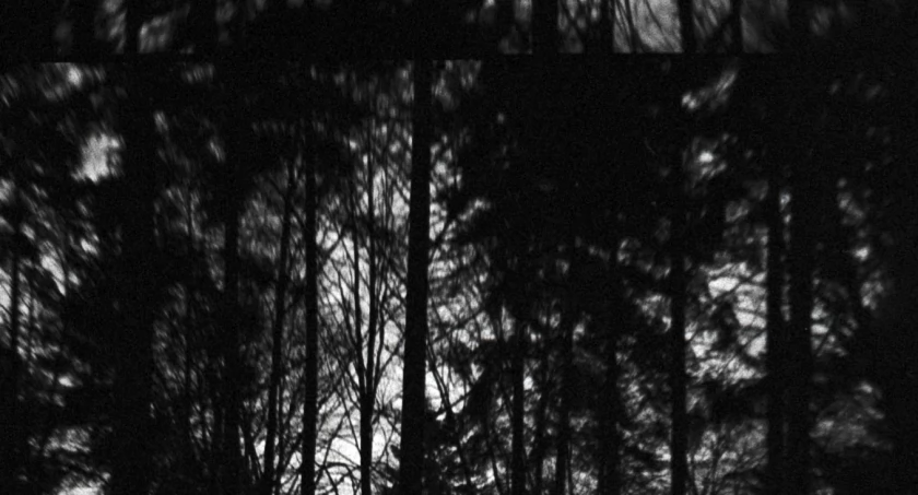 Dawid Kuffel – wernisaż wystawy prac. Rysunek, malarstwo, fotografia