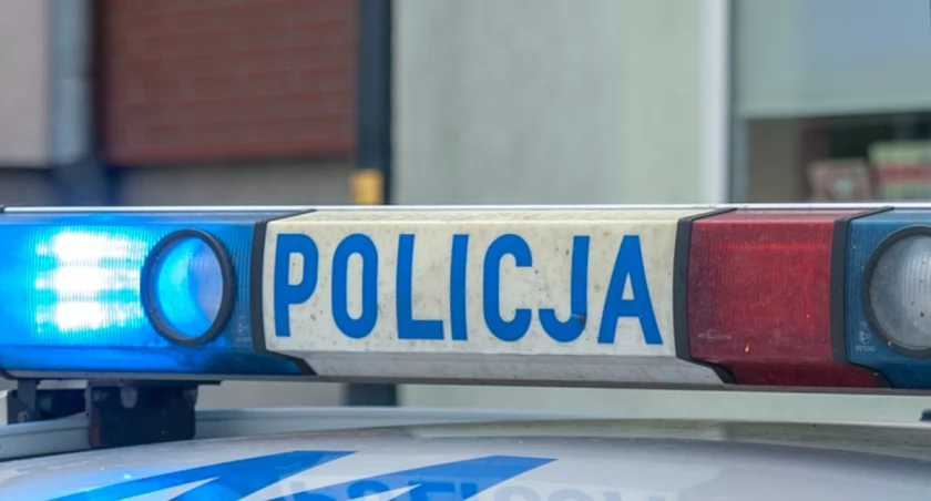 Kobieta szła przy ruchliwej trasie A1. Pomocy udzielili policjanci