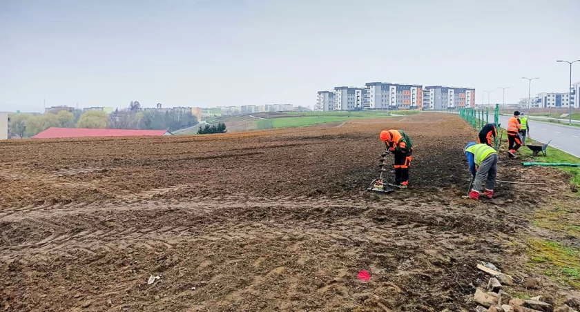 Tutaj posadzą las. Teren jest już przygotowany