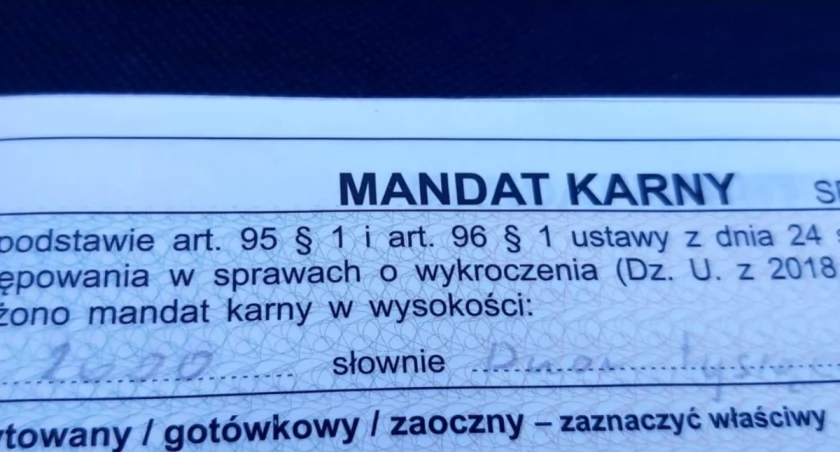 Akcja policji na DK 91. Jeden z kierowców otrzymał 2 tys. zł mandatu