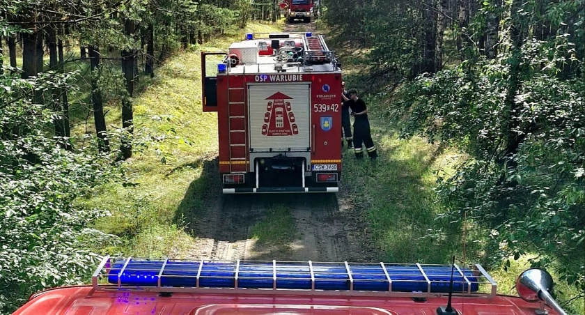 Pożar nasypu kolejowego. Na miejsce skierowano cztery zastępy straży