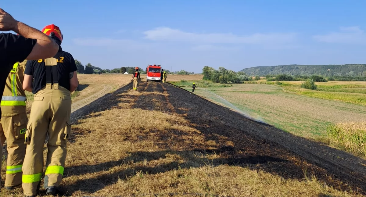 Grasuje seryjny podpalacz. Na nic zdają się apele
