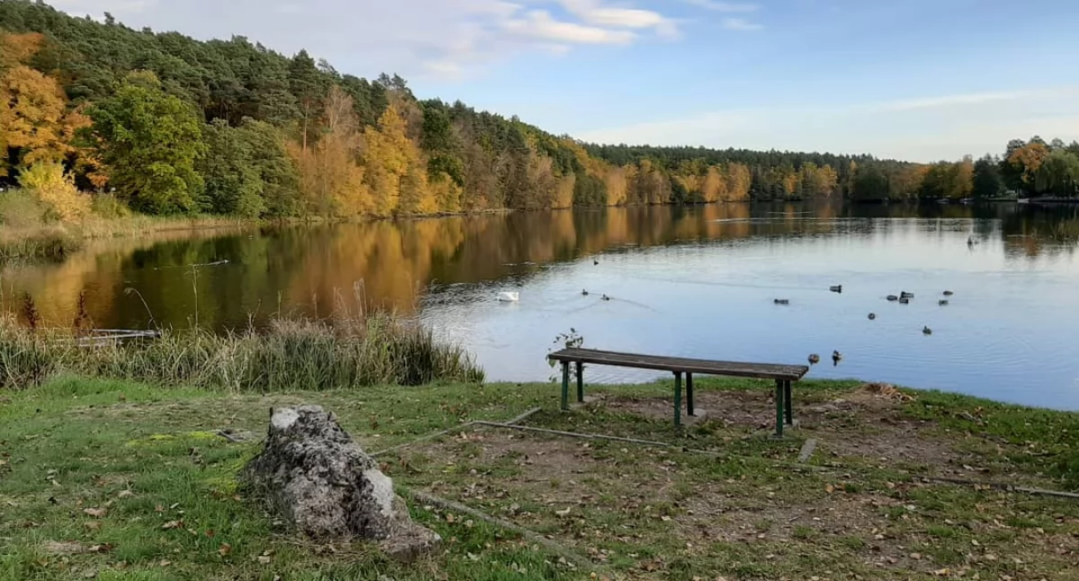 Kociewskie zakończenie lata. Wydarzenie odbędzie się w Tleniu [ZAPOWIEDŹ]