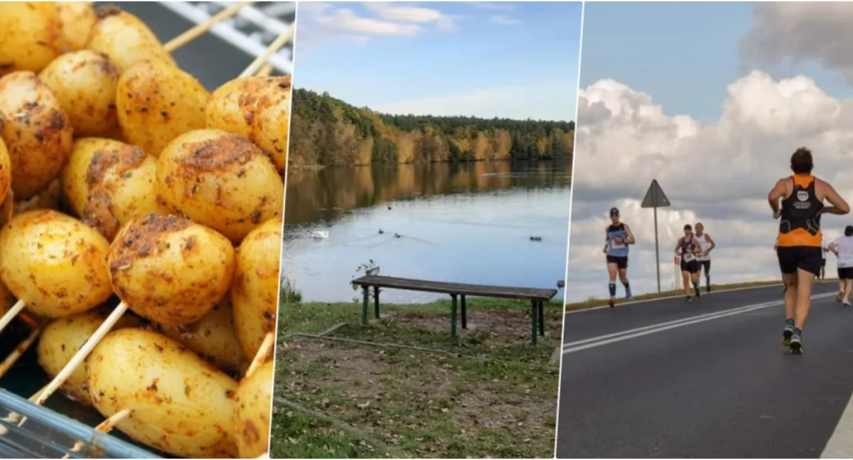 Ostatni weekend lata. Program wydarzeń w powiecie świeckim [LISTA]