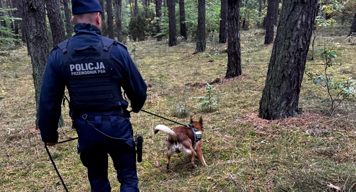 Kobieta zgubiła się w lesie. Odnalazł ją policyjny pies