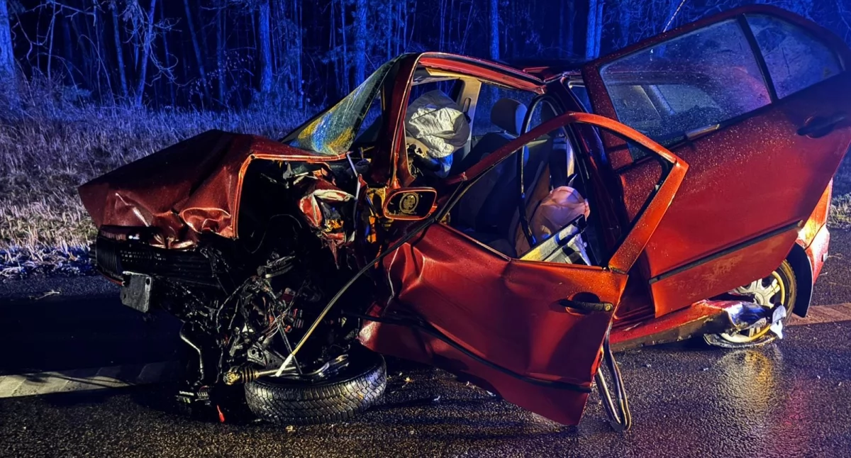 Tragiczny wypadek na DK91. Policja podaje wstępne przyczyny [ZDJĘCIA]