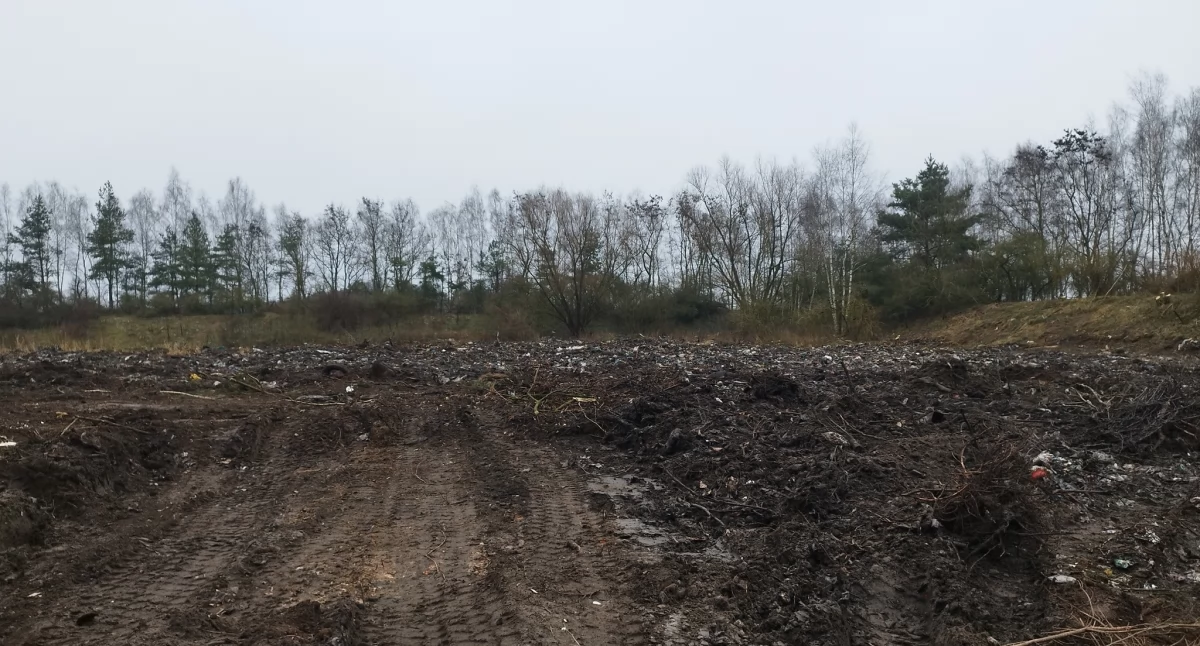 Rekultywacja terenu składowiska odpadów w Zalesiu Królewskim. Będzie las i trawa