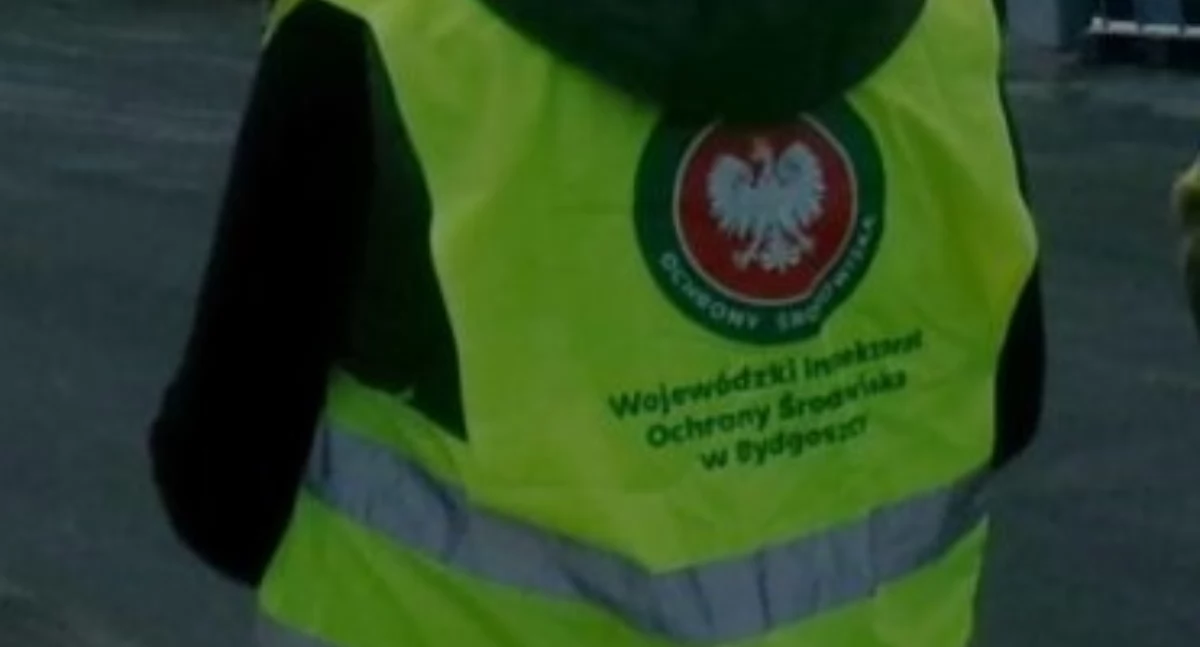 Śnięte ryby w Wiśle. Co ustaliły służby?