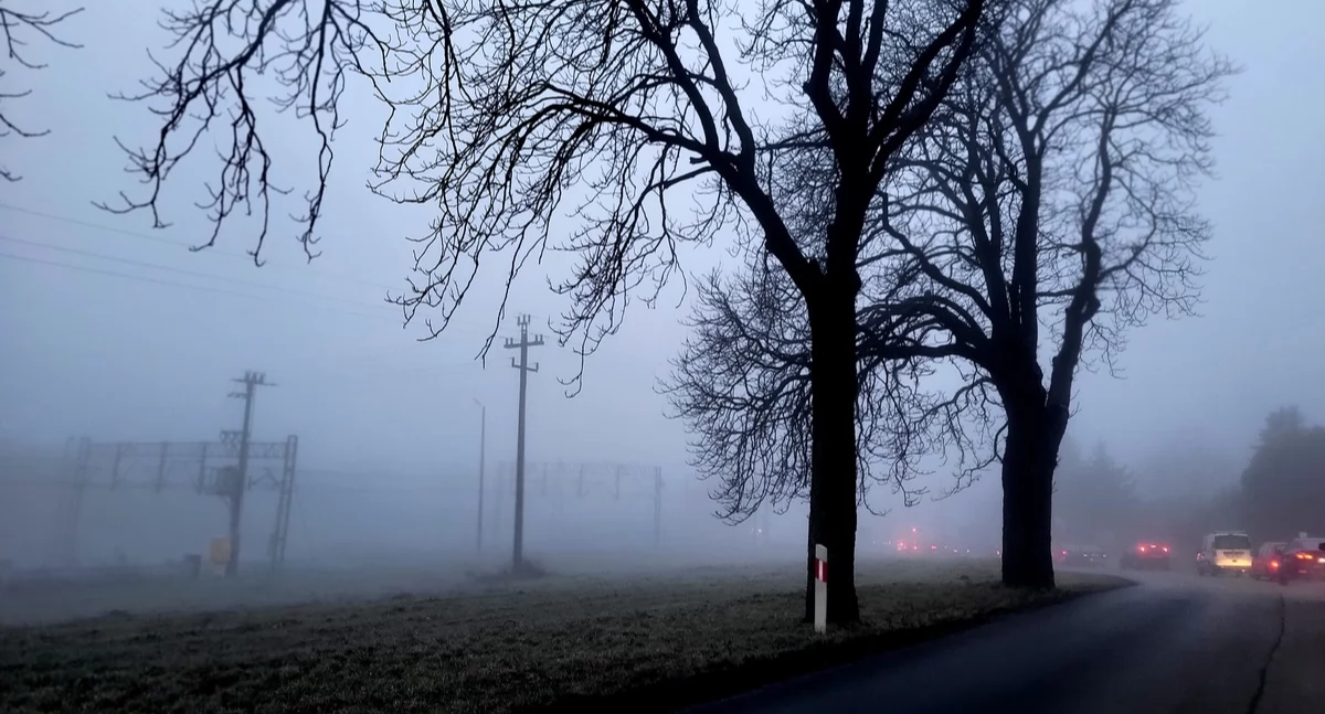 Mgły mogą być niebezpieczne. Apel policjantów ze Świecia 
