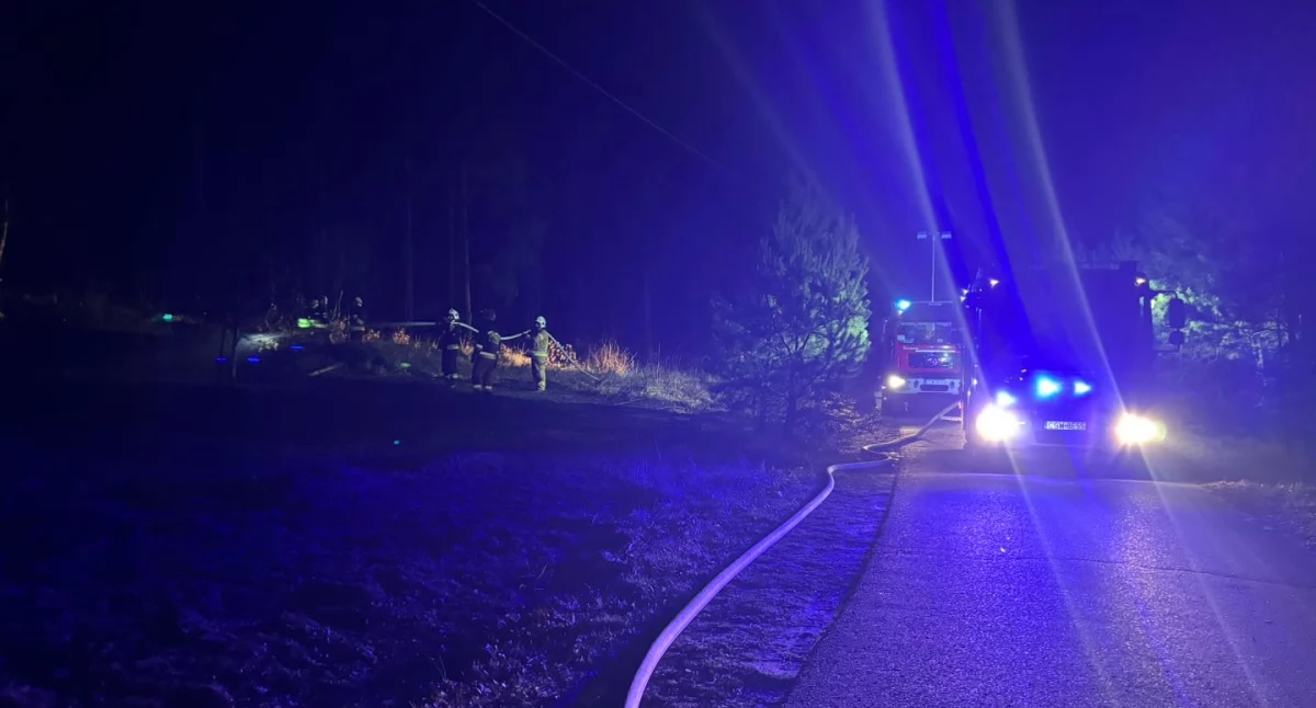 Ogień pojawił się w pobliżu lasu. Na miejsce skierowano trzy zastępy