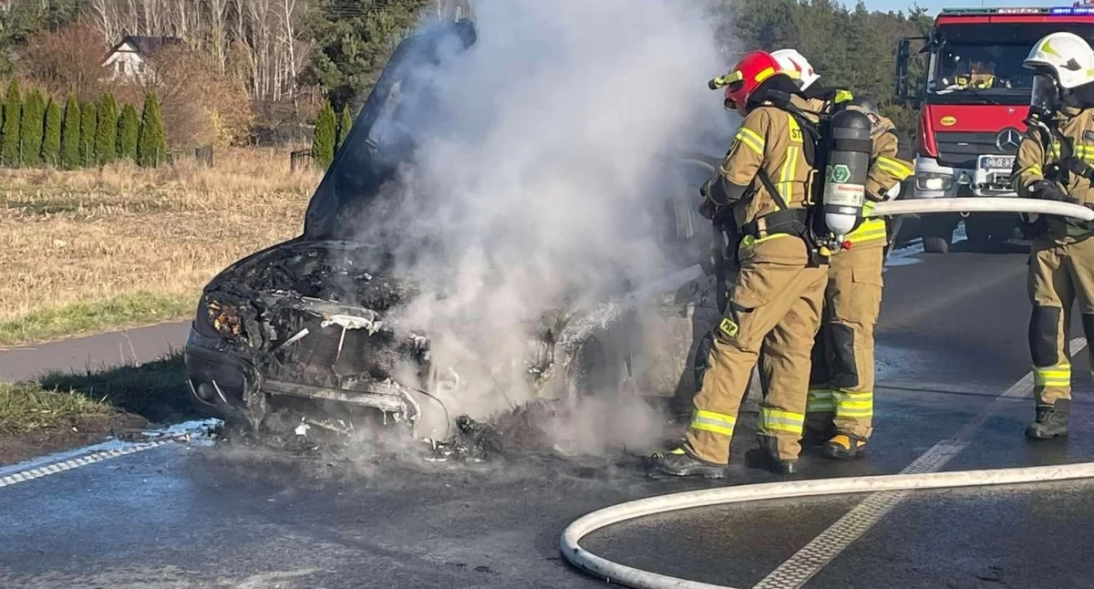 Auto stanęło w płomieniach na drodze wojewódzkiej. Na miejscu trzy zastępy straży