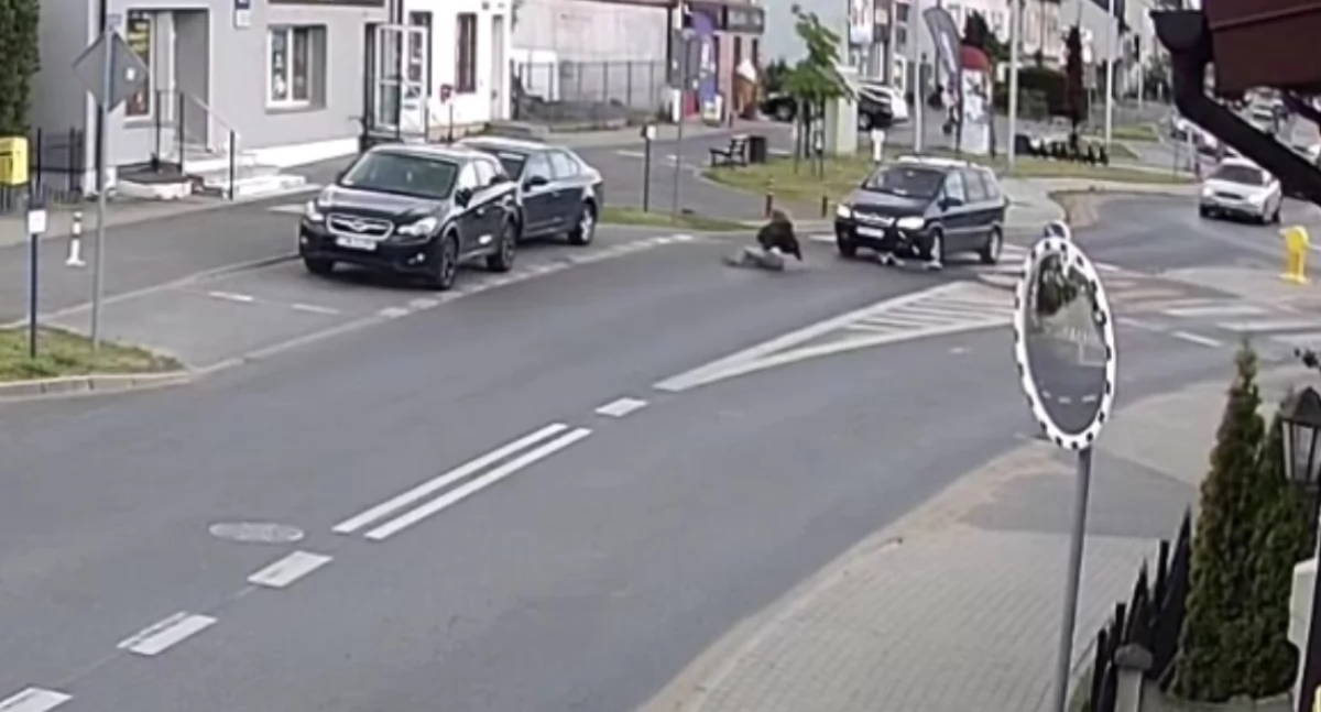 Kolizja osobówki z hulajnogą elektryczną w Świeciu. Nagranie z miejsca zdarzenia [WIDEO]