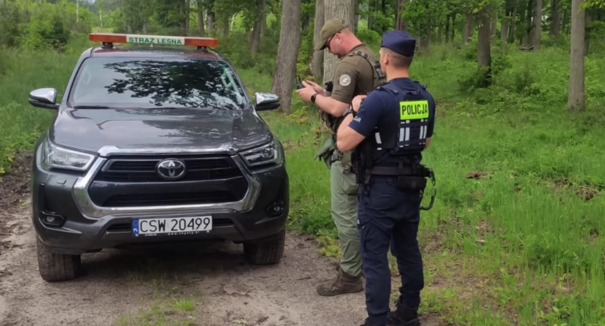Wspólne patrole policji i straży leśnej. Co sprawdzają mundurowi?