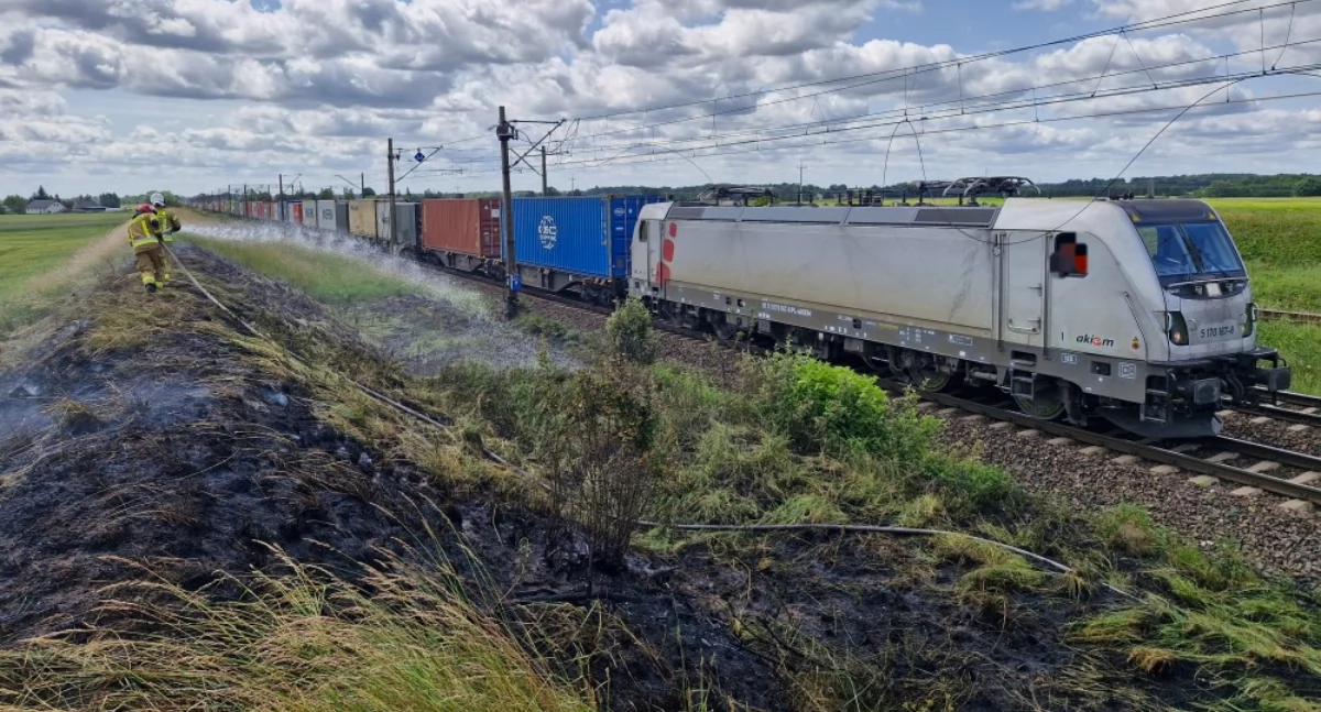 Pożar lasu, a następnie trawy przy torach. Wszystko przez silny wiatr