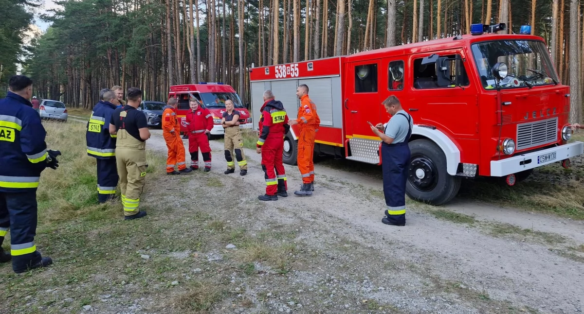 Poszukiwania na terenie powiatu świeckiego. Zgubił się grzybiarz