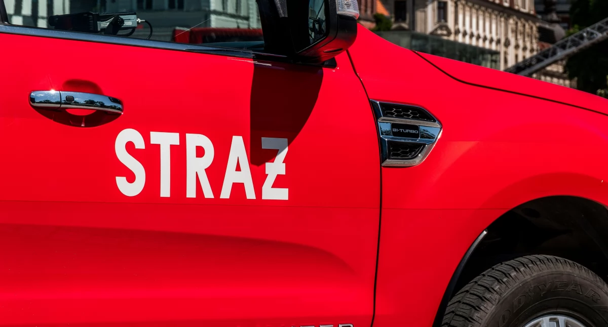 Szukało go kilkadziesiąt osób. Został odnaleziony w Świekatowie