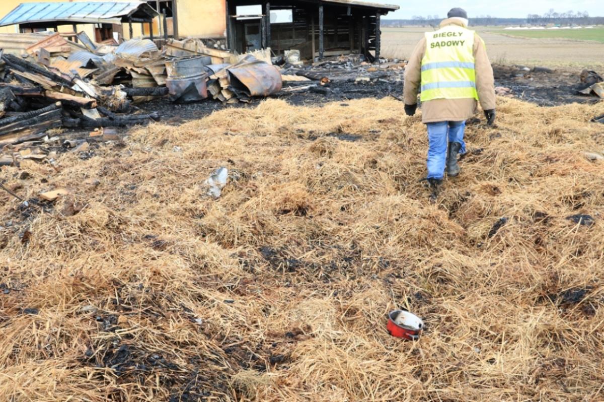 Policjanci złapali podpalacza. Podpalił stodołę w gminie Świekatowo