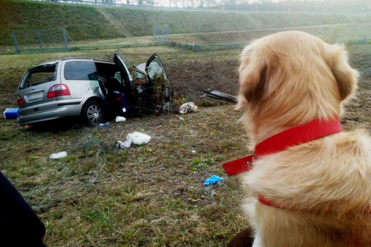 Trudny weekend na autostradzie. Kierowca zasnął. Podróżował z całą rodziną. Dachowali