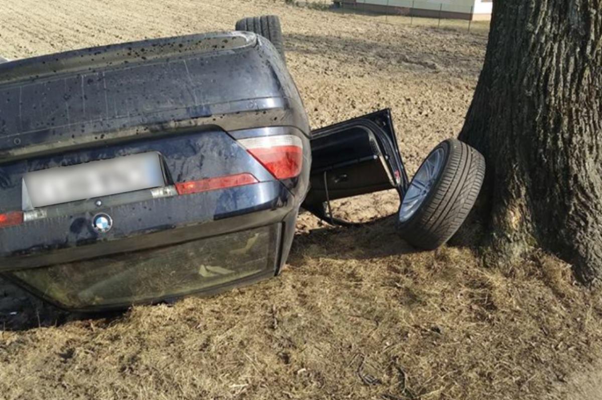Dwaj miłośnicy mocnych trunków swoją podróż zakończyli na drzewie