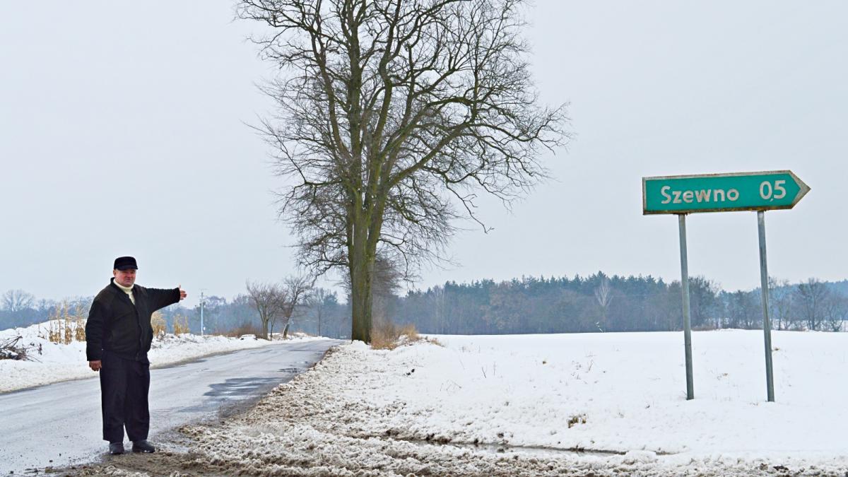 Wycięto ponad tysiąc drzew, zostawiono cztery. Akurat te, które ograniczają widoczność na skrzyżowaniu