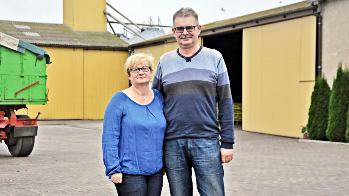 Chociaż warunki w tym roku były trudne to Państwo Traczowie są zadowoleni ze zbiorów