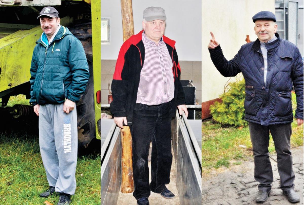 Cena skupu żywca leci na łeb na szyję. Sprawdzamy, jak radzą sobie z tym gospodarze z powiatu świeckiego