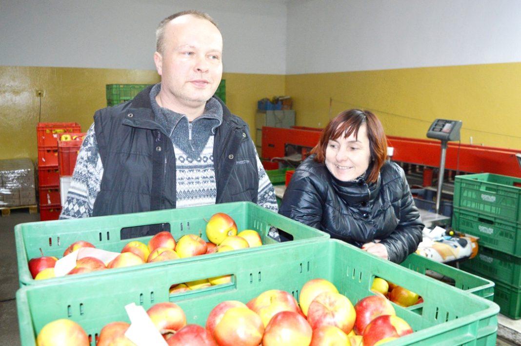 Jak wygląda praca w sadzie i jakie soki owocowe najlepiej wybierać? Pamułowe zdradzają kulisy jabłkowego biznesu