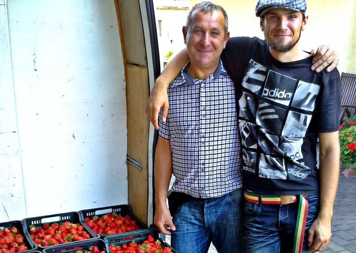 Jak prowadzi się truskawkowy biznes? Odkąd jest 500+ nie wszystkim opłaca się schylać