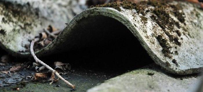 Inwentaryzacja wyrobów zawierających azbest na terenie gminy Świecie [KOMUNIKAT]