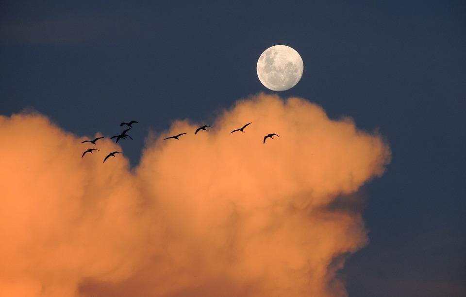 IX Noc astronomiczna [ZAPROSZENIE]