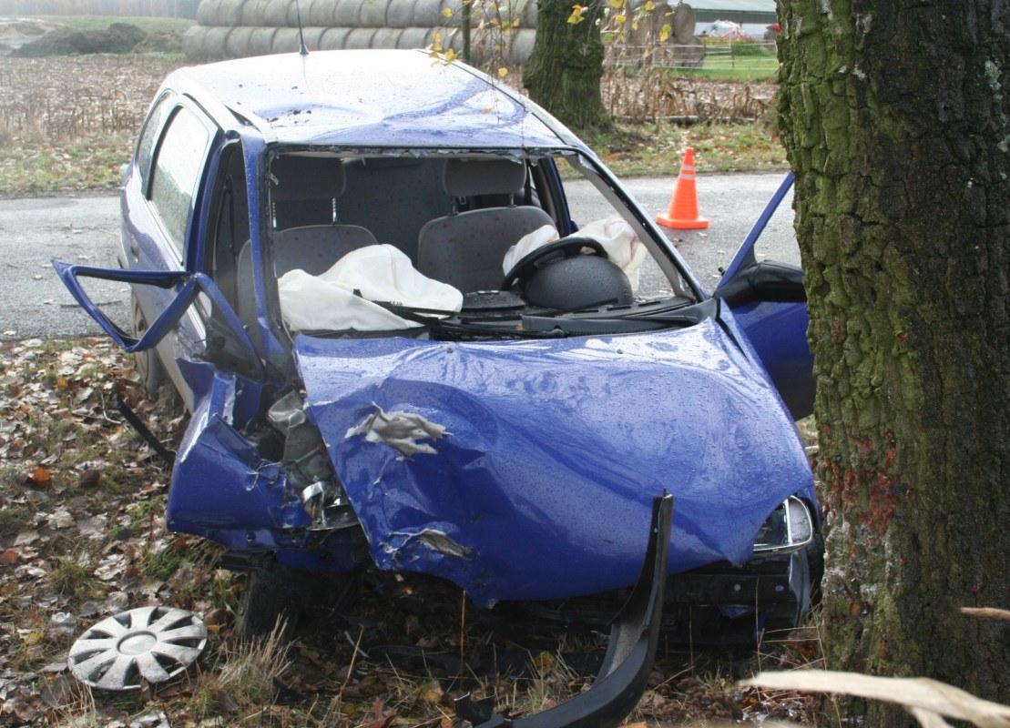 Przewoziła w Corsie piątkę dzieci. Po zderzeniu z drzewem wszystkie trafiły do szpitala