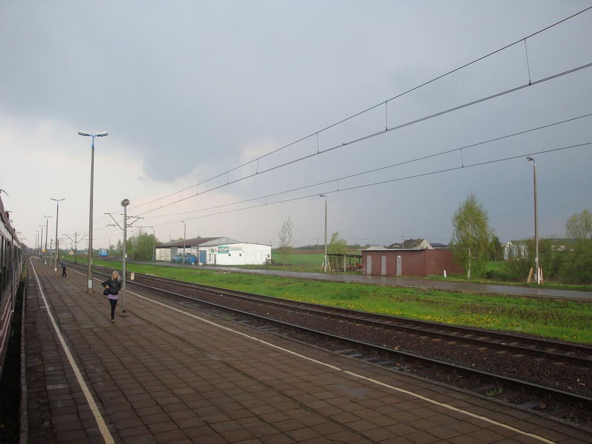 Pociąg śmiertelnie potrącił 19-latka w Twardej Górze