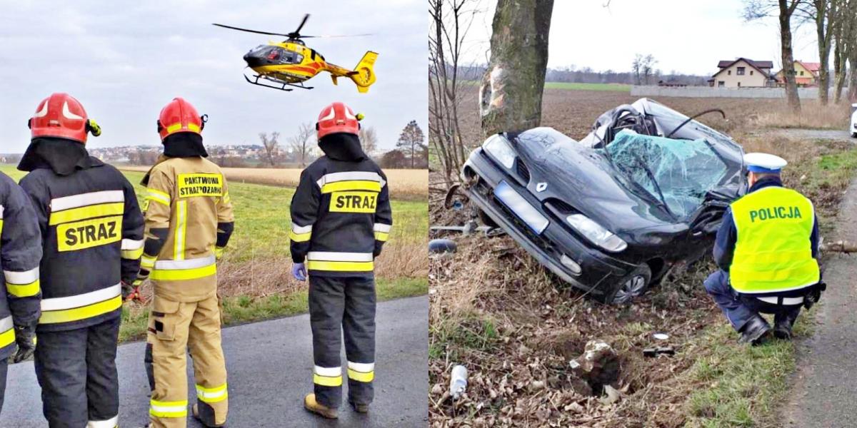 Samochód roztrzaskał się na drzewie, a kierowcę zabrał helikopter. Policjanci podejrzewają, co było przyczyną wypadku