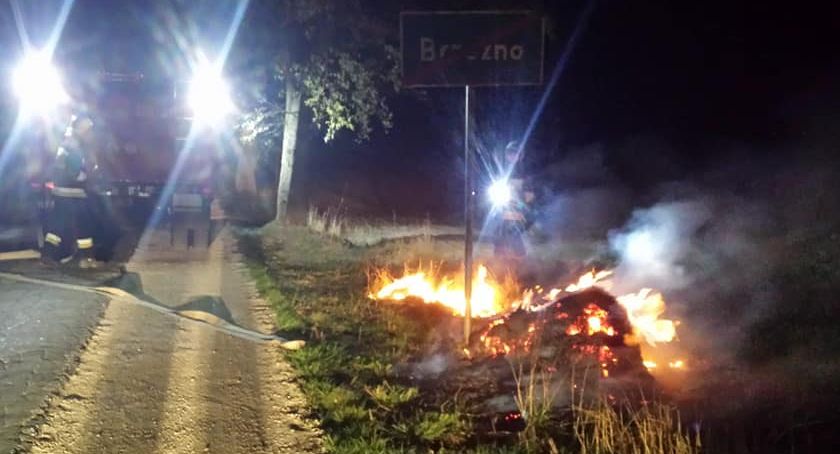 Pożar śmieci w rowie, czy to było podpalenie? Strażacy zadziałali ekspresowo [ZDJĘCIA]