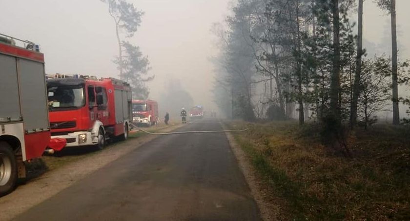 Dubielno. Ogromny pożar lasu [PILNE]