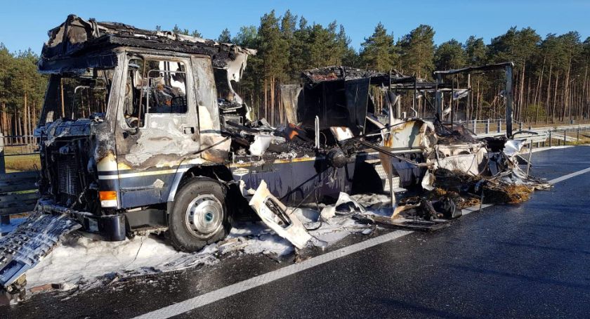 Mamy zdjęcia z akcji gaśniczej na A1, podczas której spłonął koń
