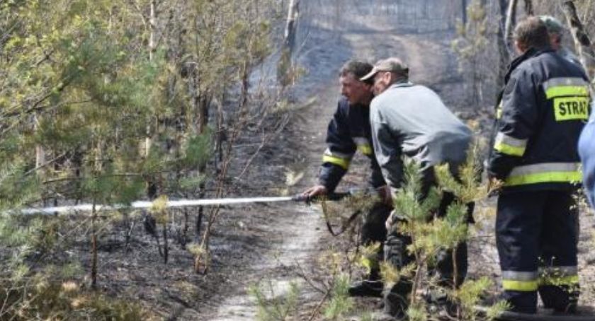 Zakaz wstępu do lasów, także na terenie powiatu świeckiego