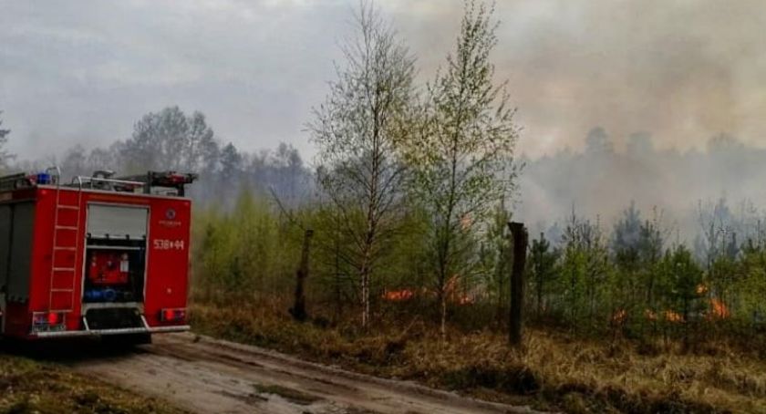Pożary w Gajewie - policjanci złapali seryjnego podpalacza. Wywołał co najmniej pięć pożarów i spalił majątek za kilkaset tys. zł