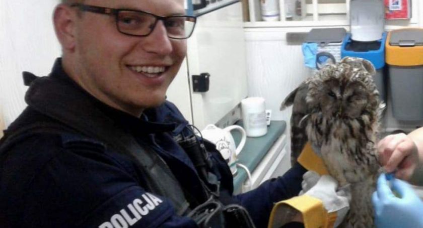 Nietypowa sytuacja spotkała policjantów w piątek w nocy. Sowę udało się na szczęście uratować [ZDJĘCIA]