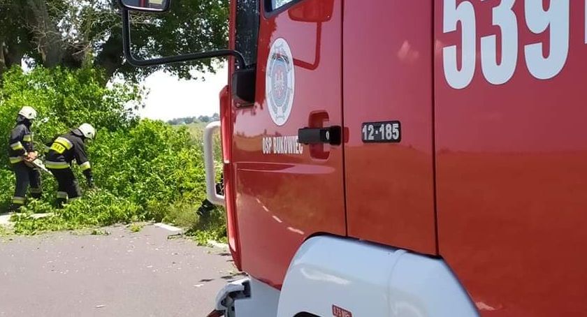Droga między Korytowem a Różanną była zablokowana. [ZDJĘCIA]