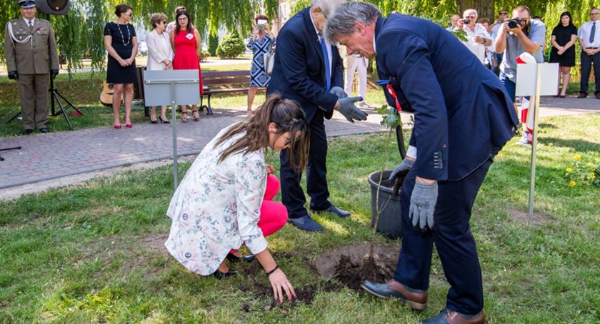 Zasadź swoje drzewo w Świeciu. Wystarczy wskazać miejsce, gdzie chcemy więcej drzew. O resztę zatroszczy się urząd