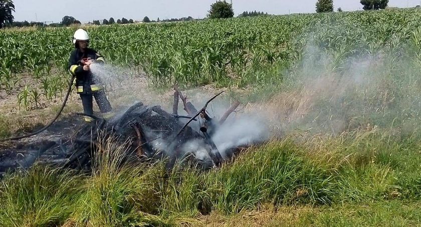 Pożar w Pruszczu. Strażacy gasili stertę drzewa