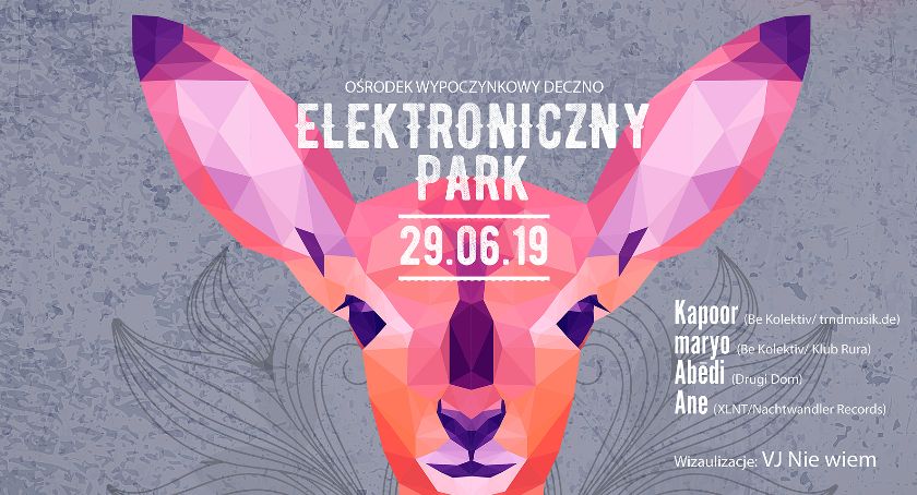 Elektroniczny Park - Eletroniczne Deczno już dziś. Wybieracie się?