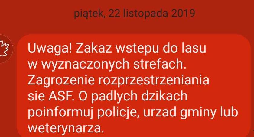 RCB ostrzega przed ASF. Do kujawsko-pomorskiego ASF jeszcze nie dotarł!