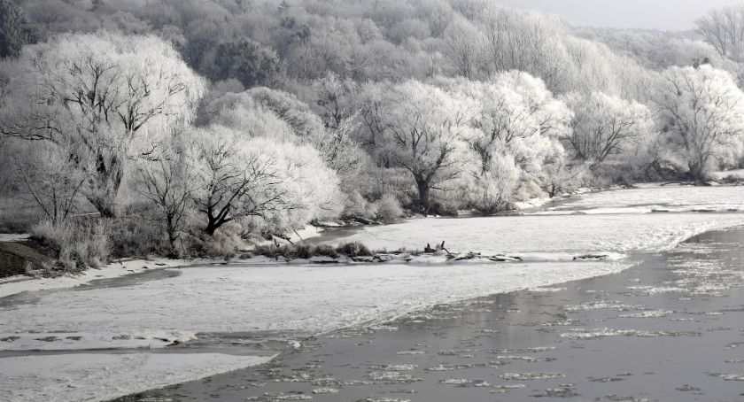 Pierwsze zimowe wejście na Diabelce. Spacer przyrodniczy z przewodnikiem