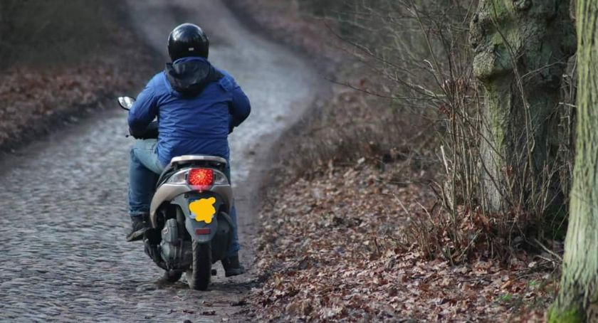 Leśniczy przyłapał mężczyznę wyrzucającego śmieci do lasu. Jaka czeka go kara?